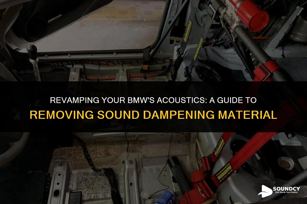 how to remove interior sound dampening material in bmw
