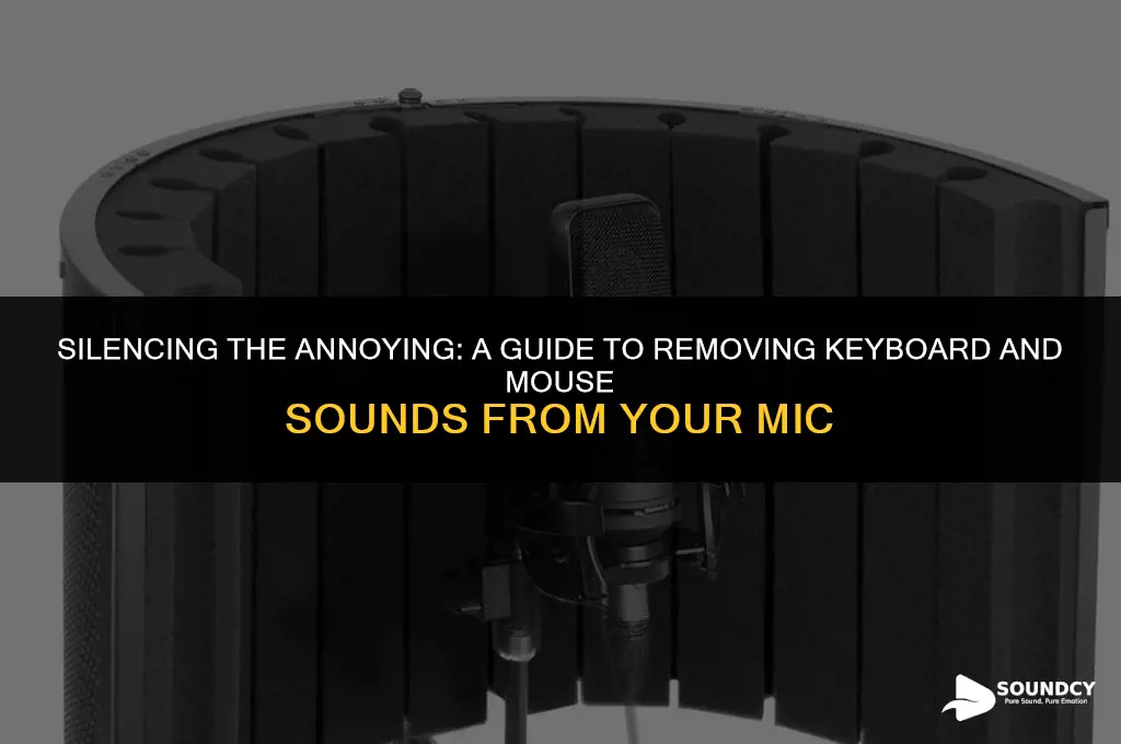 how to remove keyboard and mouse sounds from mic