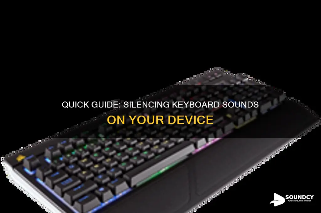 how to remove keyboard sound