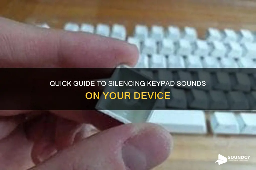 how to remove keypad sound