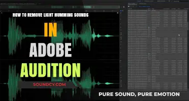 Eliminate Pesky Humming Noises in Adobe Audition: A Comprehensive Guide