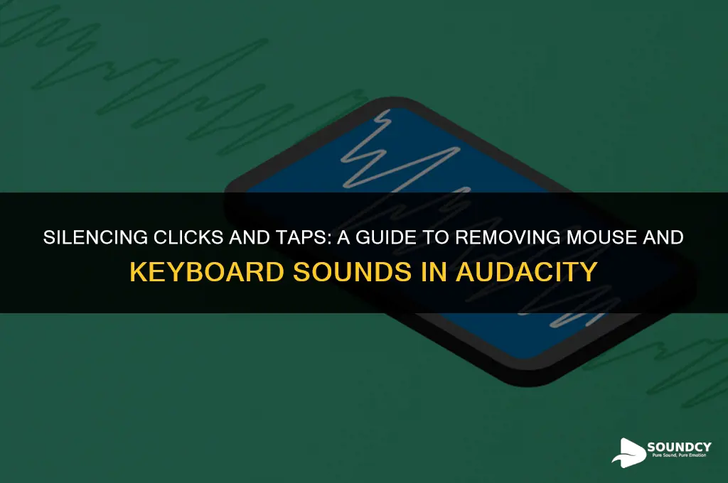 how to remove mouse and keyboard sound in audacity