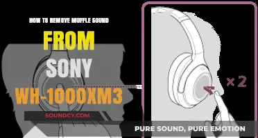 Silencing the Muffle: A Guide to Clearer Audio on Sony WH-1000XM3 Headphones