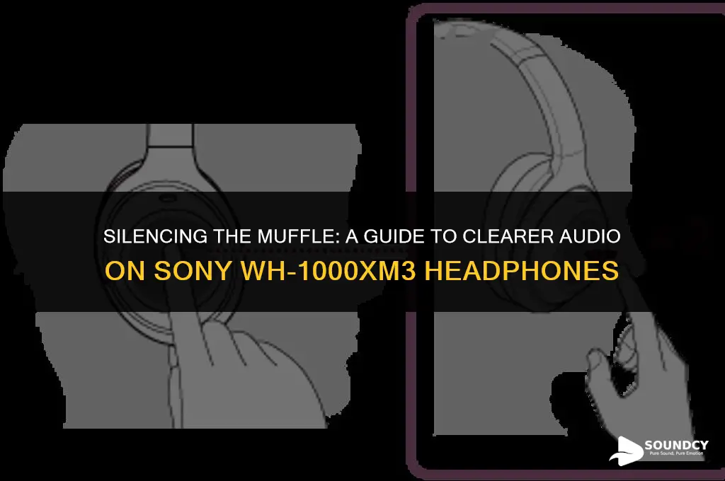 how to remove muffle sound from sony wh-1000xm3