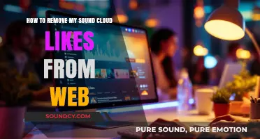 Efficiently Managing Your SoundCloud Likes: A Step-by-Step Guide