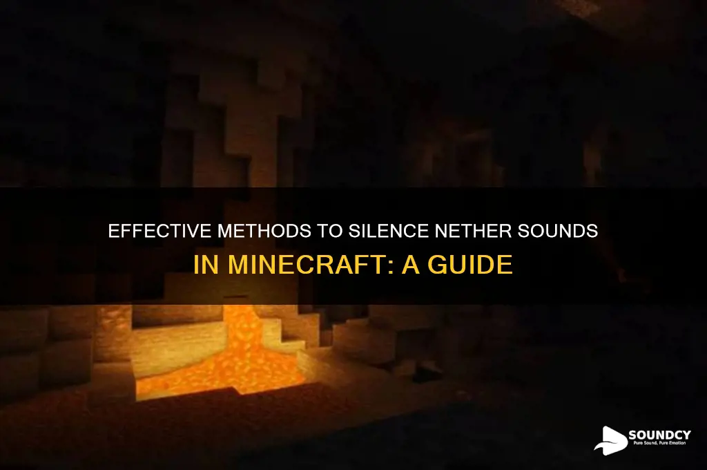 how to remove nether sound
