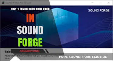 Effective Noise Reduction Techniques in Sound Forge: A Comprehensive Guide