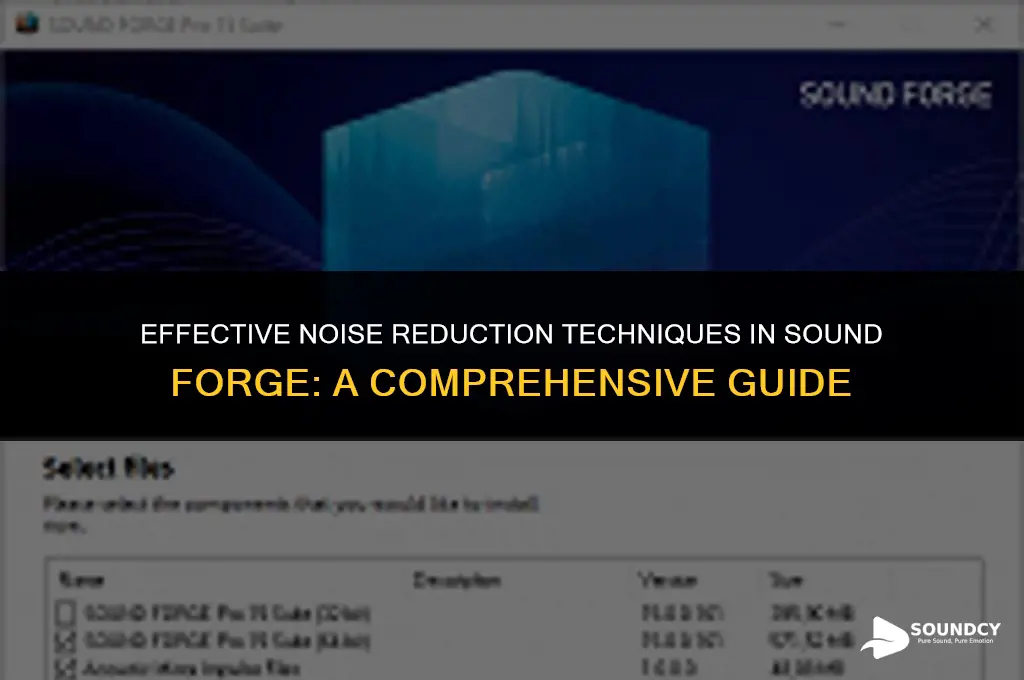how to remove noise from audio in sound forge