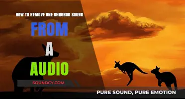 Effective Techniques to Isolate and Remove Kangaroo Sounds from Audio Recordings