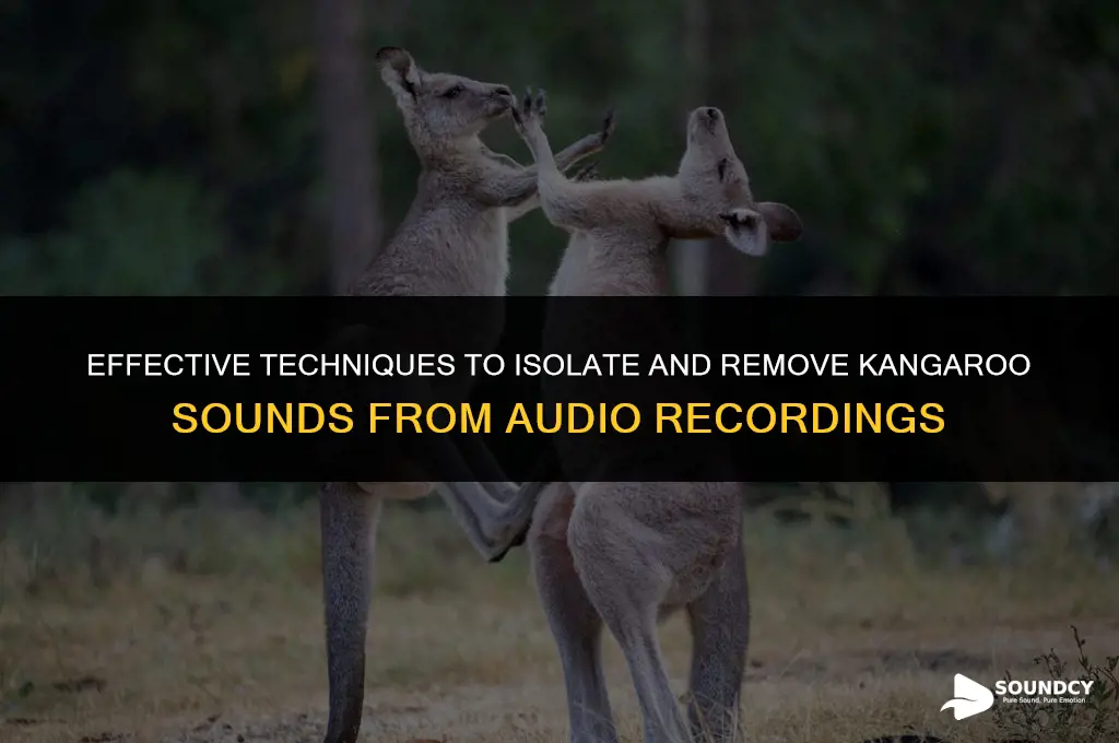 how to remove one ghngroo sound from a audio