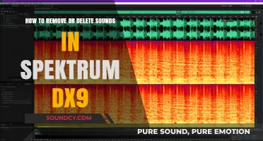 Mastering Silence: A Guide to Removing Sounds in Spektrum DX9