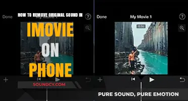 Efficiently Remove Original Sound in iMovie on Your Phone