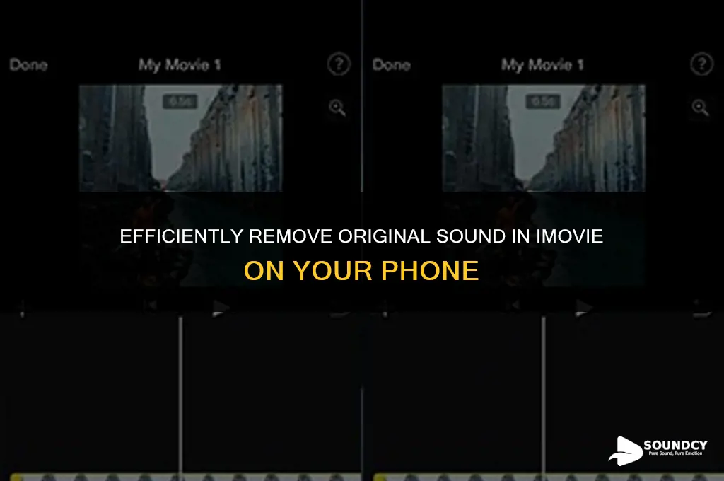 how to remove original sound in imovie on phone