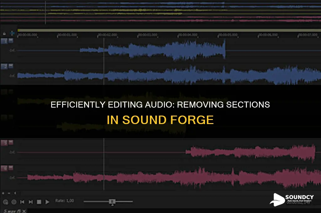 how to remove parts of audio in sound forge