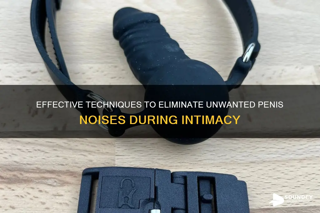 how to remove penis sound