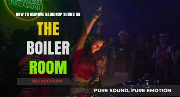 Silencing the Symphony: A Guide to Removing Raindrop Sounds from Your Boiler Room