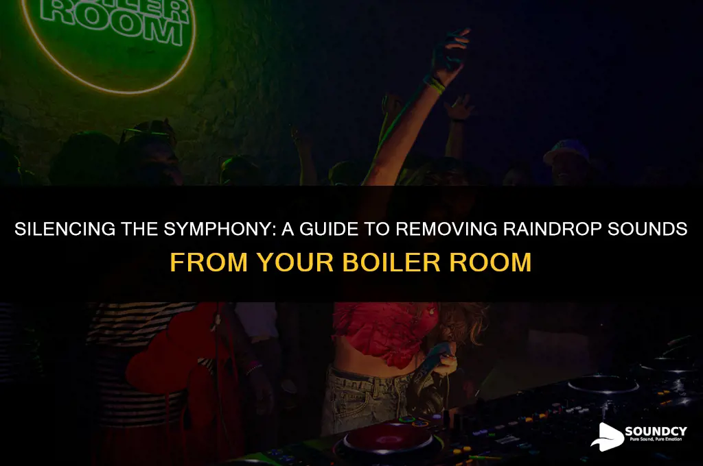 how to remove raindrop sound on the boiler room