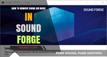 Efficiently Eliminate Room Noise in Sound Forge: A Step-by-Step Guide