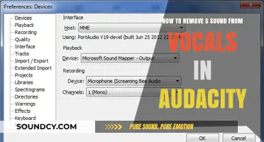 Mastering Vocal Editing: Eliminate Sibilance in Audacity