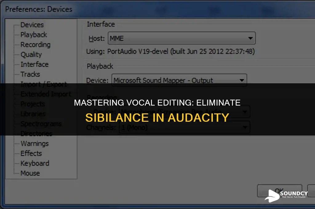 how to remove s sound from vocals in audacity