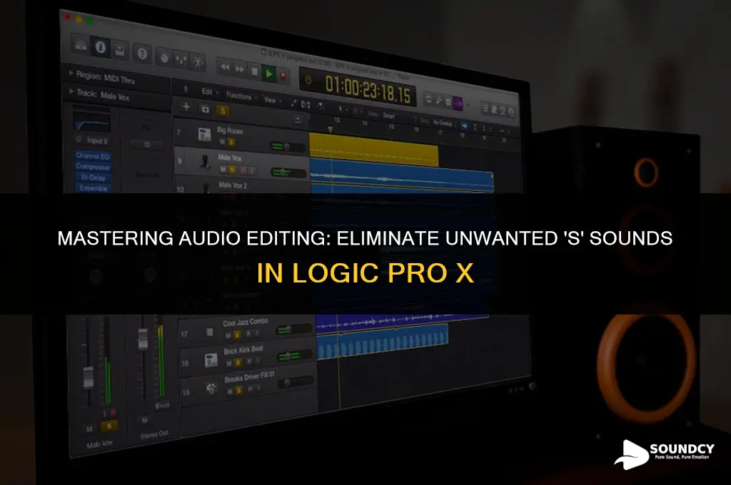 how to remove s sound in logic pro x