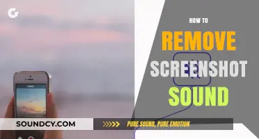 How to Remove Screenshot Sound on Your Device: Quick Guide
