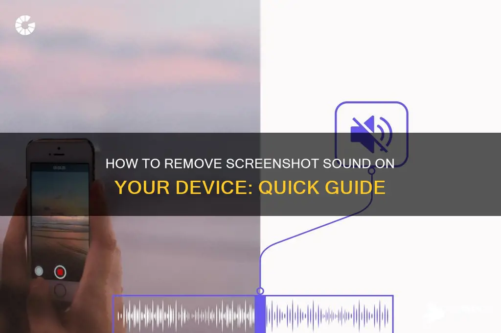 how to remove screenshot sound