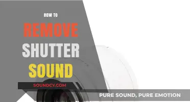 Silent Shots: Effective Methods to Remove Shutter Sound on Your Camera