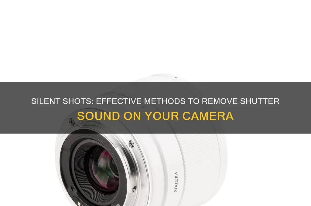 how to remove shutter sound