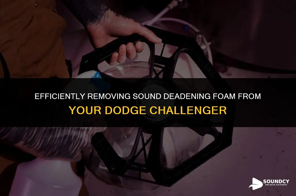 how to remove sound deadening foam from dodge challenger