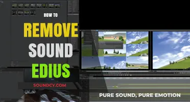 Effective Techniques to Remove Unwanted Sound in Edius