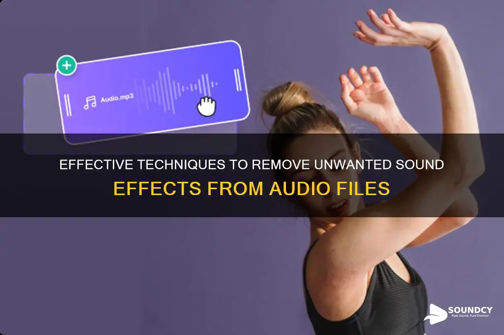 how to remove sound efects