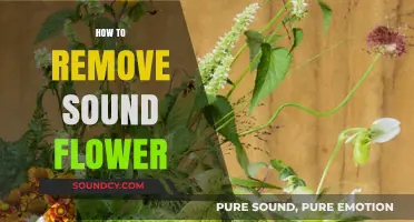 Effective Methods to Remove Sound Flower from Your Mac System