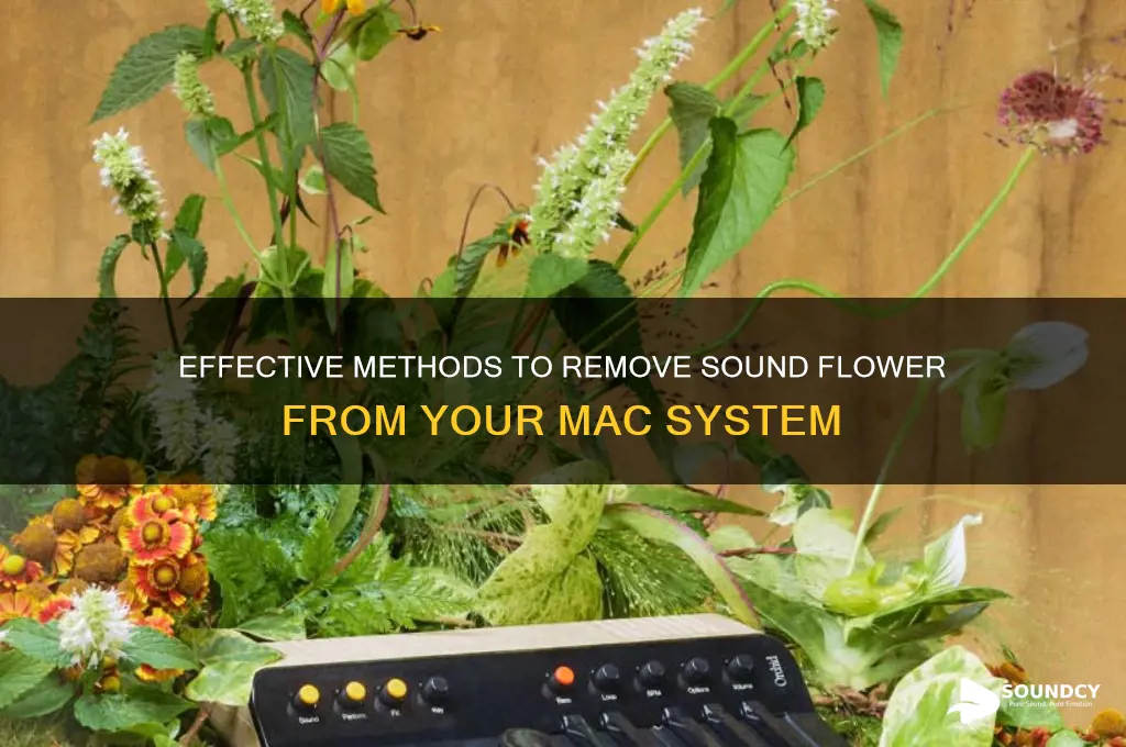 how to remove sound flower