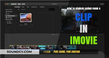 Efficiently Mute Your Clips: A Step-by-Step iMovie Guide