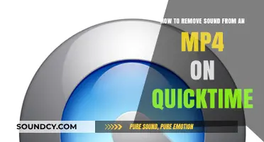 QuickTime Video Editing: Removing Audio from MP4 Files