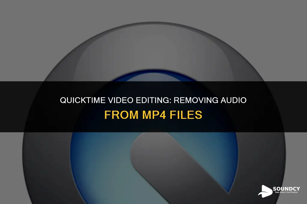 how to remove sound from an mp4 on quicktime