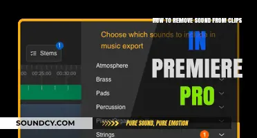 Mastering Silence: Removing Sound in Premiere Pro