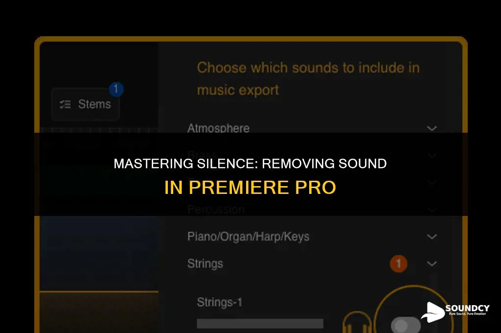 how to remove sound from clips in premiere pro