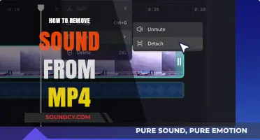Removing Sound from MP4s: A Step-by-Step Guide