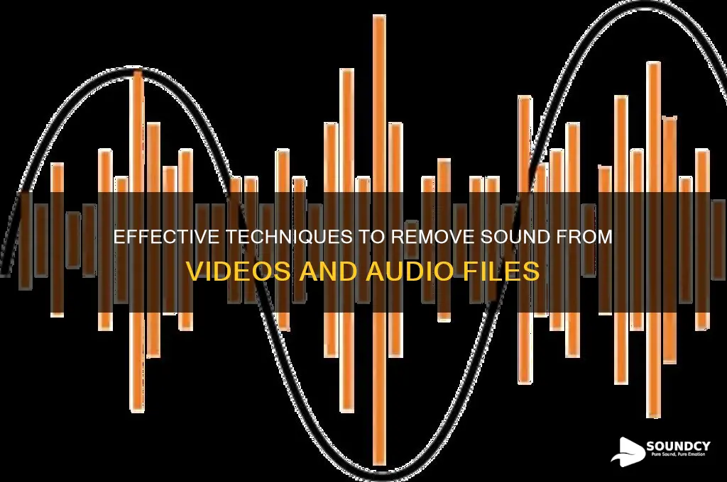 how to remove sound from