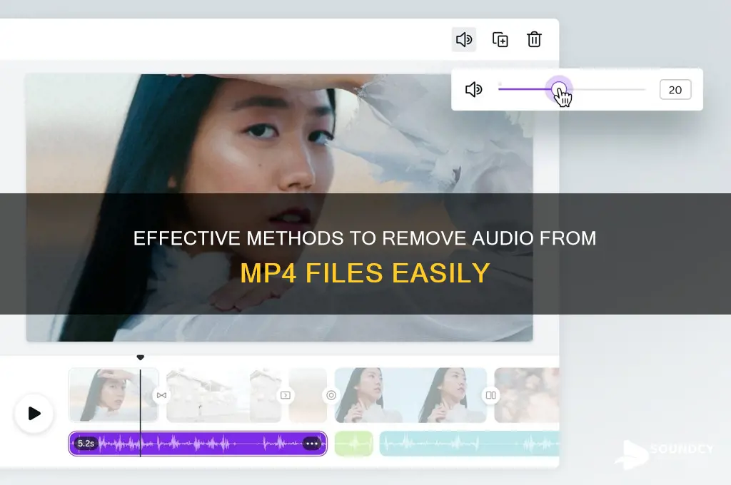 how to remove sound mp4