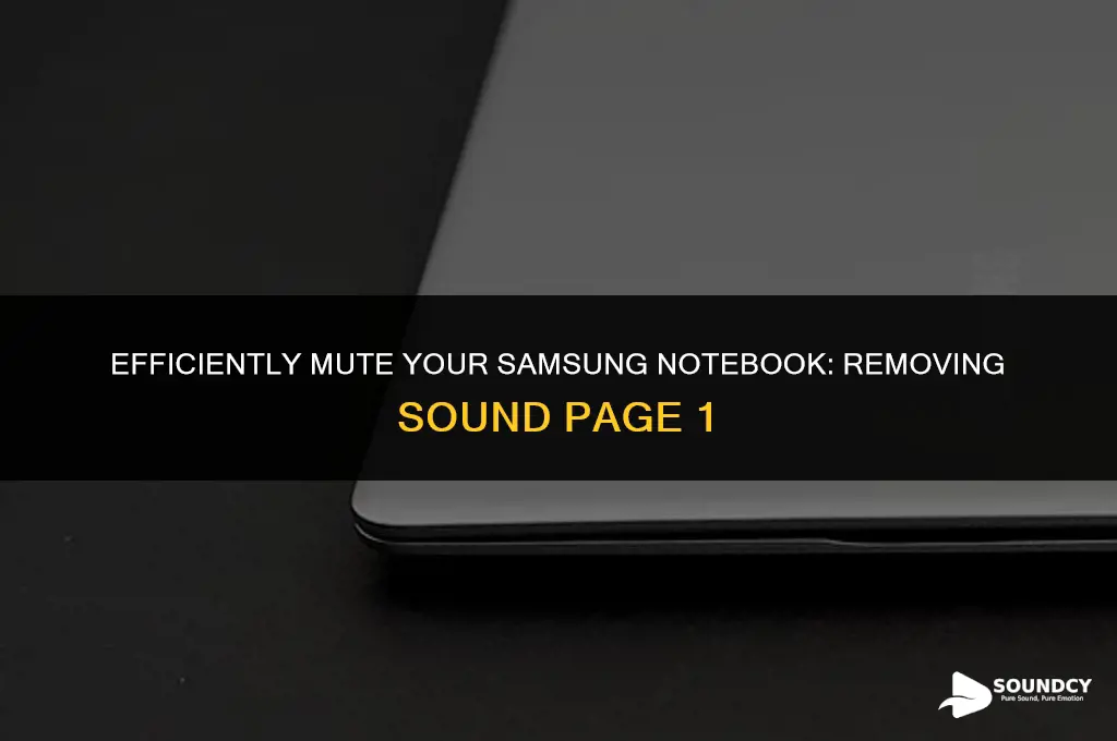 how to remove sound page 1 in samsung notebook