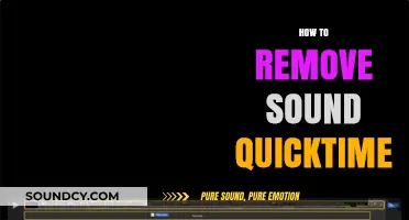 Quick and Easy Guide to Removing Sound from QuickTime Videos