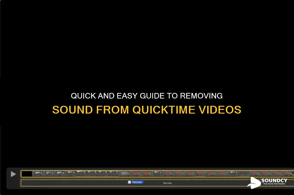 how to remove sound quicktime