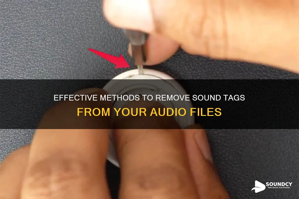 how to remove sound tag