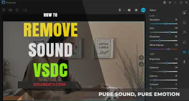 Efficiently Remove Sound in VSDC: A Step-by-Step Guide