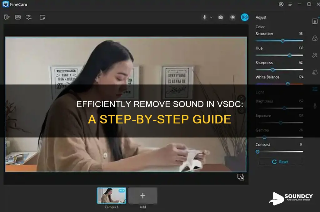 how to remove sound vsdc