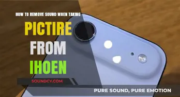 Silencing the Shutter: A Guide to Soundless iPhone Photography