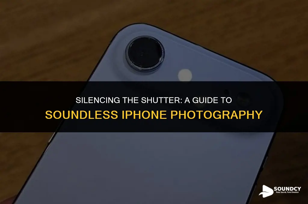 how to remove sound when taking pictire from ihoen